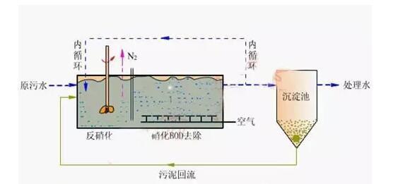 高濃度，高氨氮