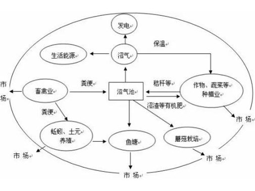 養殖污水處理方法都有哪些_金版環(huán)保